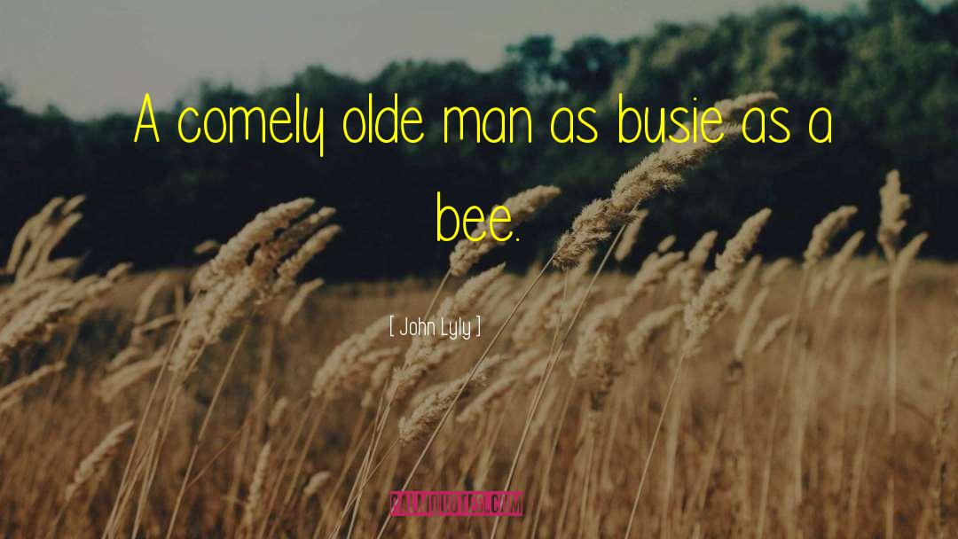 Comely quotes by John Lyly