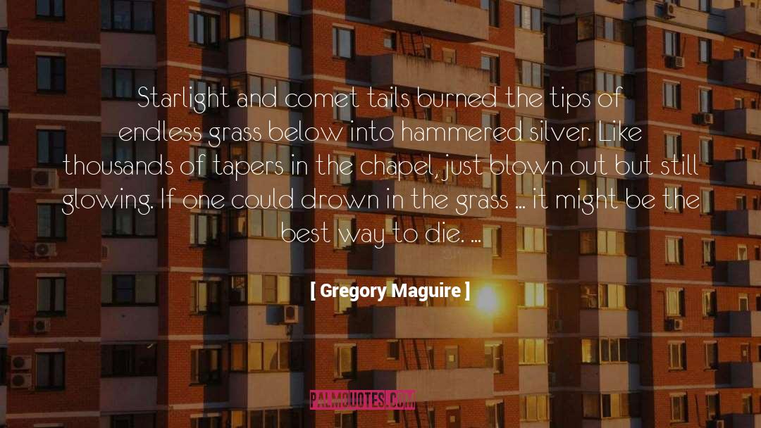 Comet quotes by Gregory Maguire
