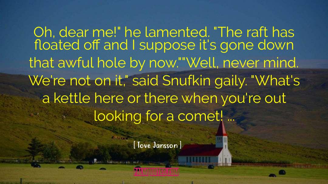 Comet quotes by Tove Jansson