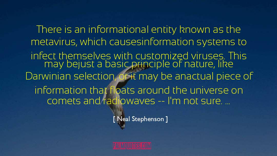 Comets quotes by Neal Stephenson