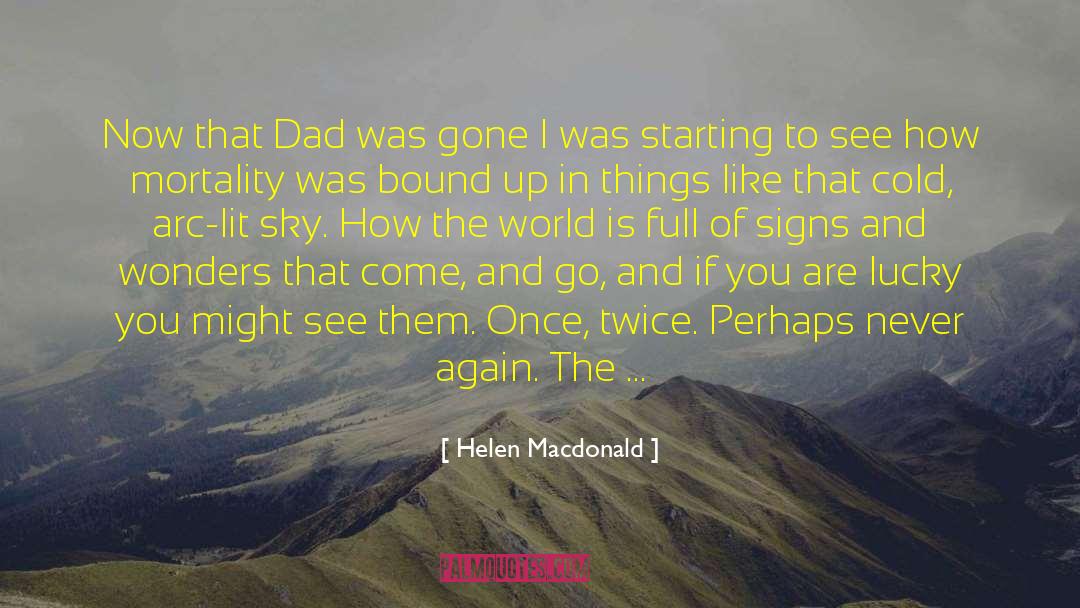 Comets quotes by Helen Macdonald