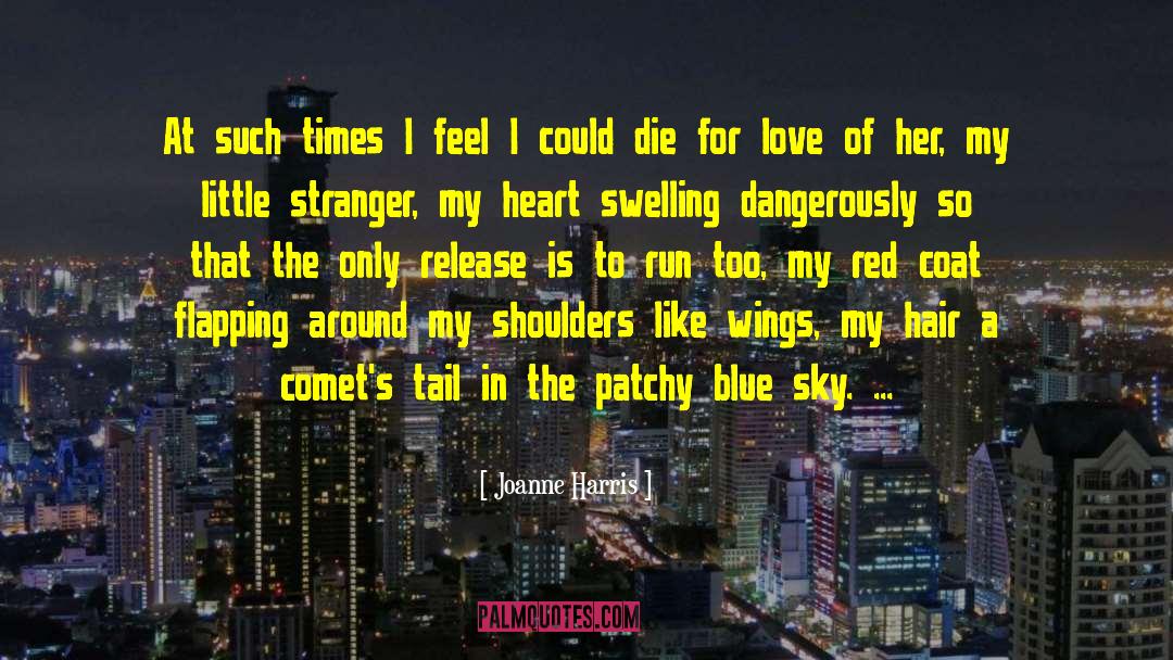 Comets quotes by Joanne Harris