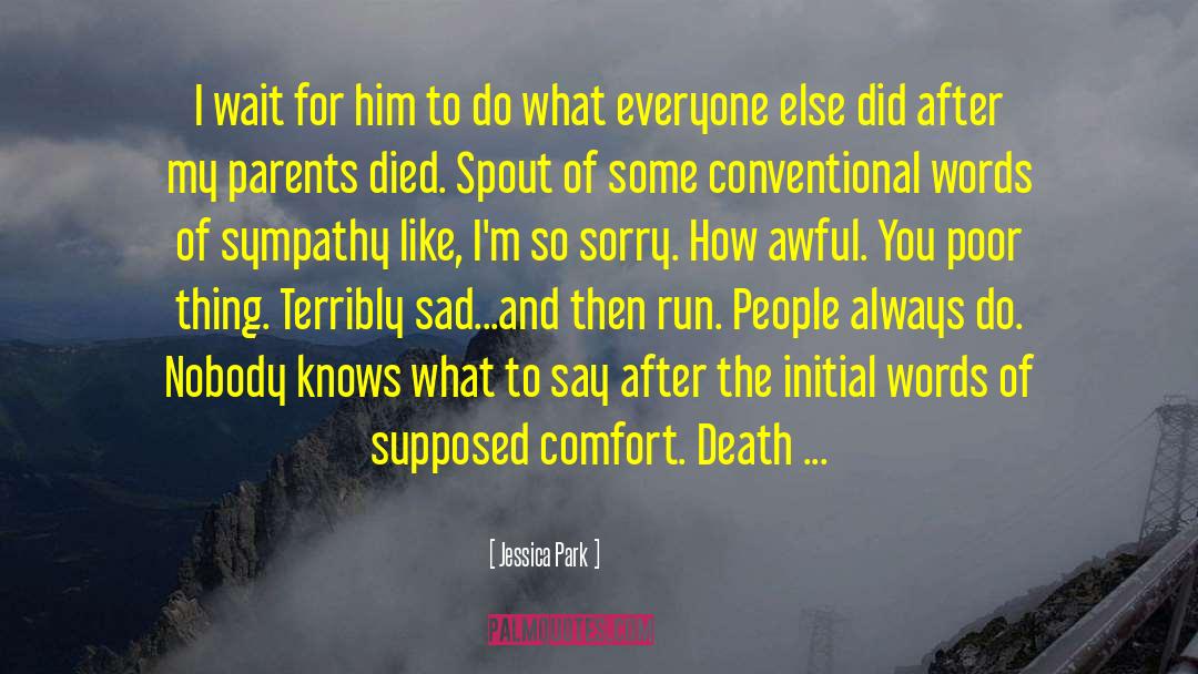 Comfort Grief quotes by Jessica Park