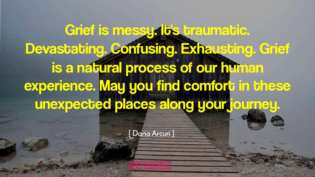 Comfort Grief quotes by Dana Arcuri