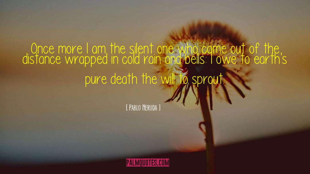 Comfort In Silence quotes by Pablo Neruda