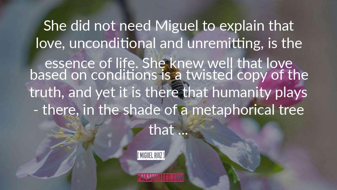 Comfort Lies quotes by Miguel Ruiz