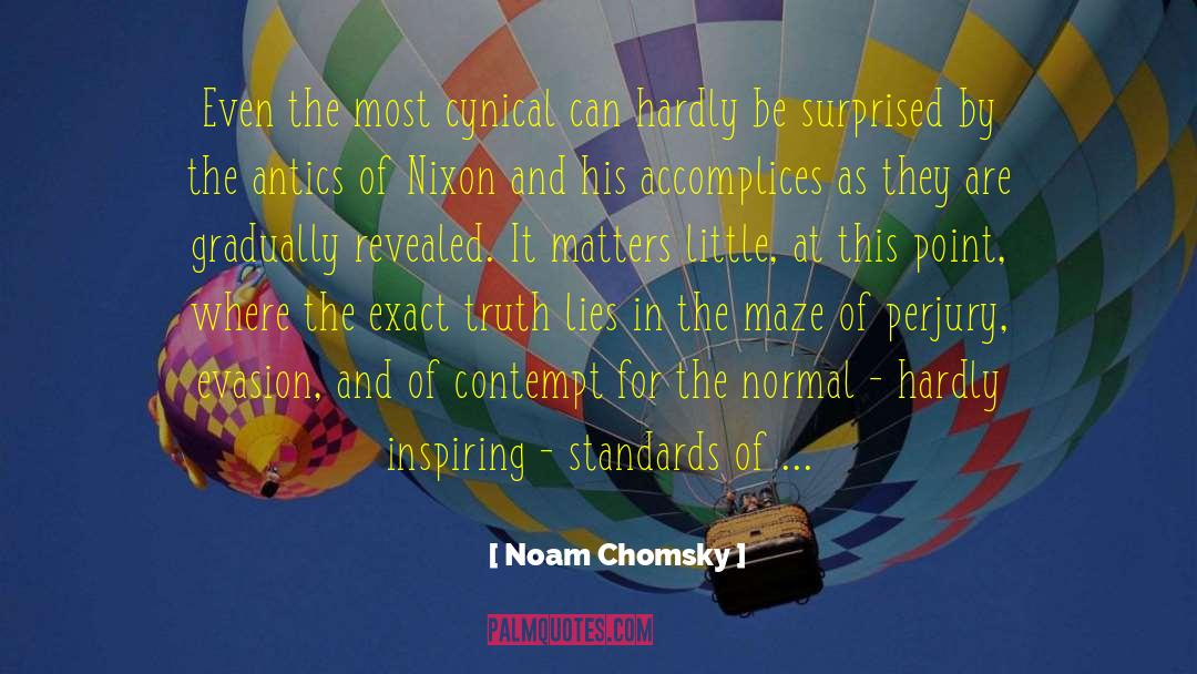 Comfort Lies quotes by Noam Chomsky