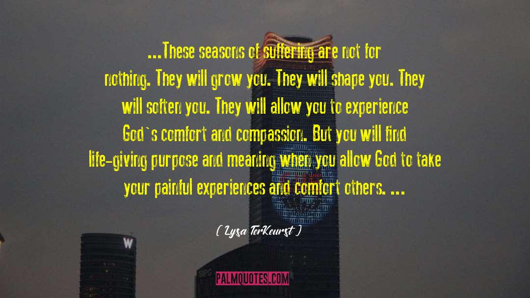 Comfort Others quotes by Lysa TerKeurst