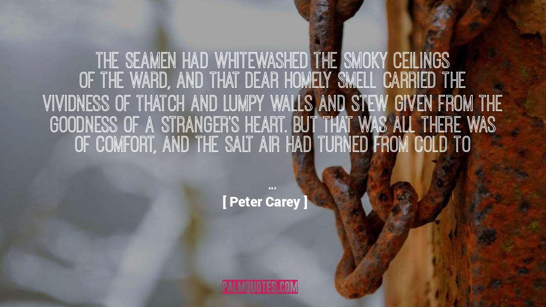 Comfort The Grieving quotes by Peter Carey