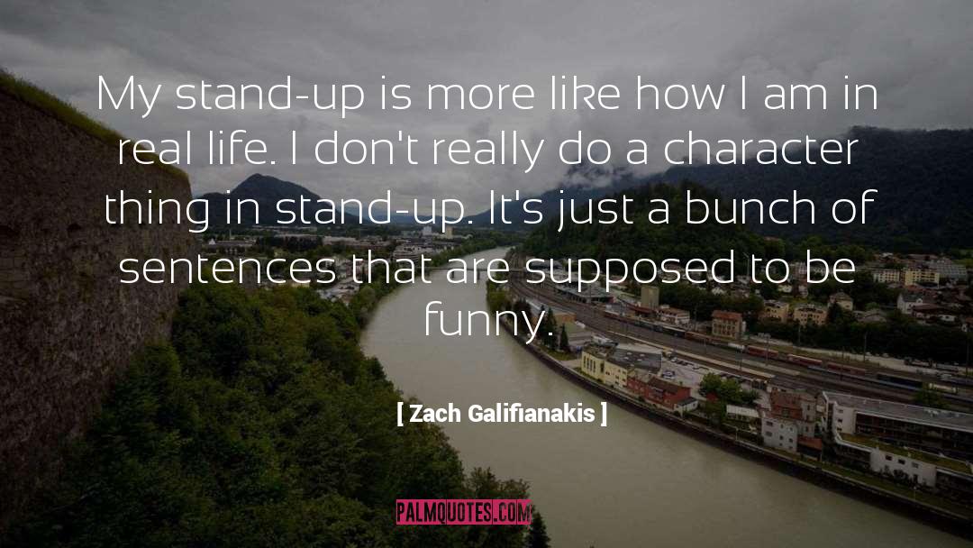 Comfortable Life quotes by Zach Galifianakis