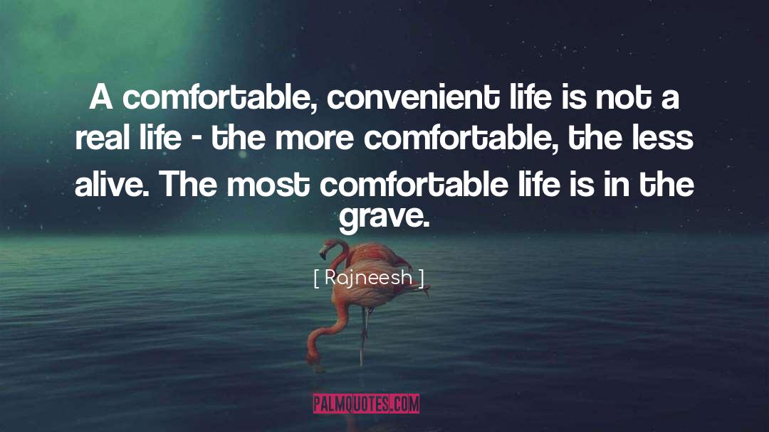 Comfortable Life quotes by Rajneesh