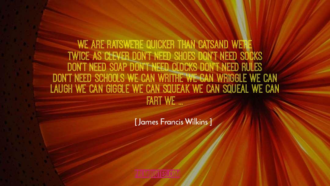 Comfortable Shoes quotes by James Francis Wilkins