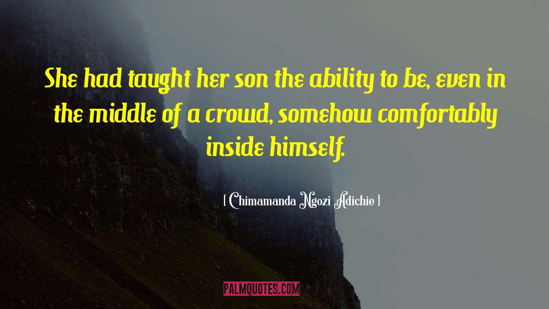 Comfortably Lost quotes by Chimamanda Ngozi Adichie