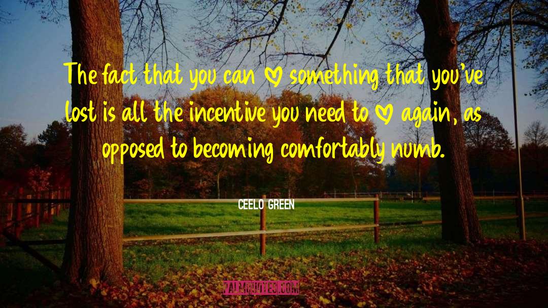 Comfortably Numb quotes by CeeLo Green