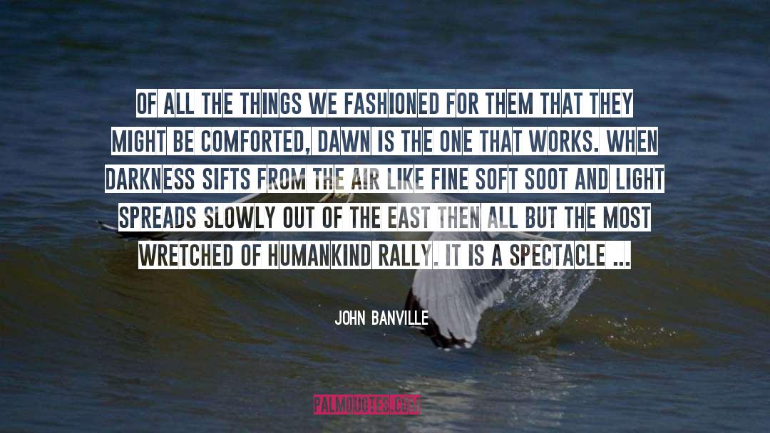 Comforted quotes by John Banville