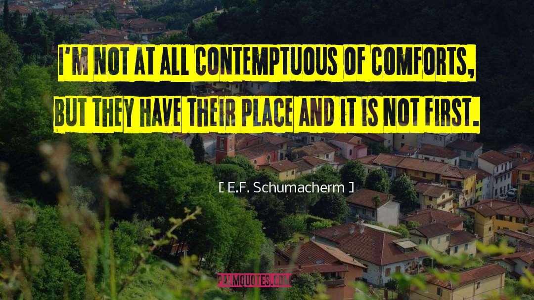 Comforts quotes by E.F. Schumacherm