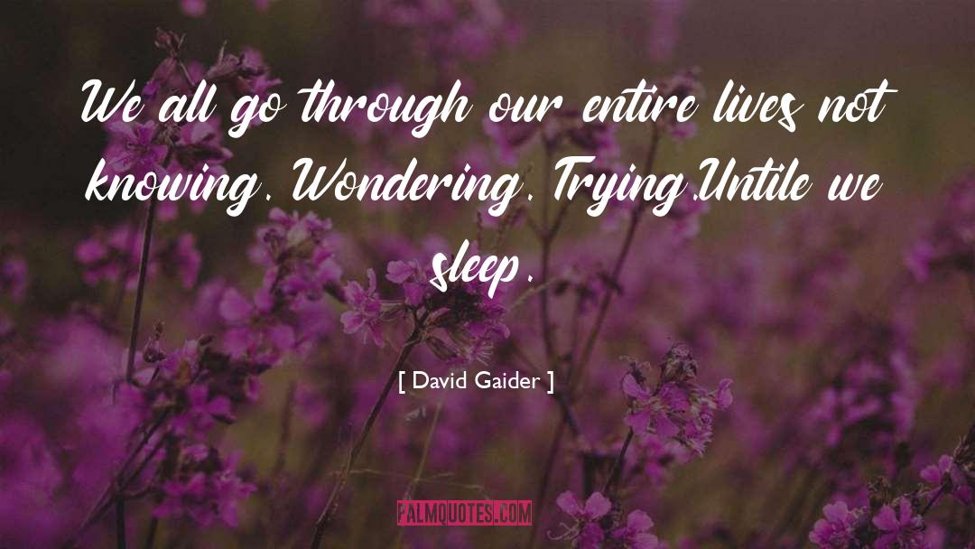 Comics quotes by David Gaider