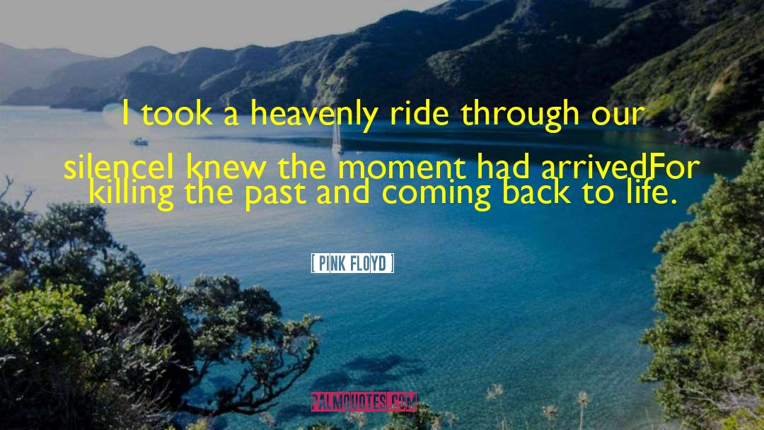 Coming Back quotes by Pink Floyd