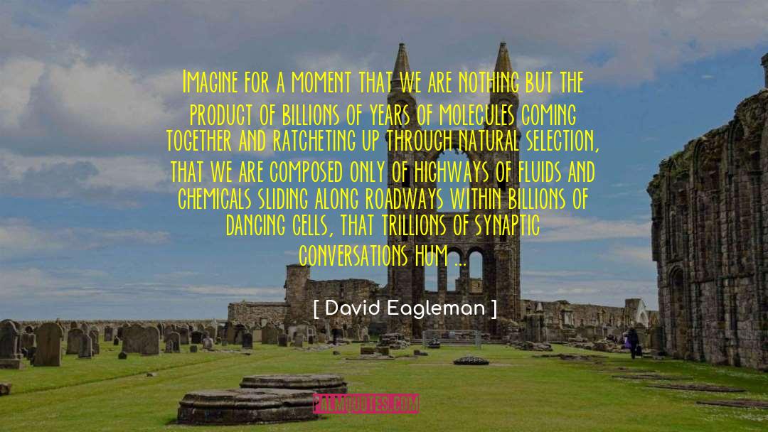 Coming Together quotes by David Eagleman