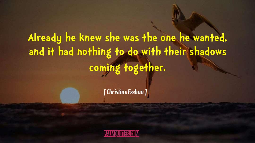 Coming Together quotes by Christine Feehan