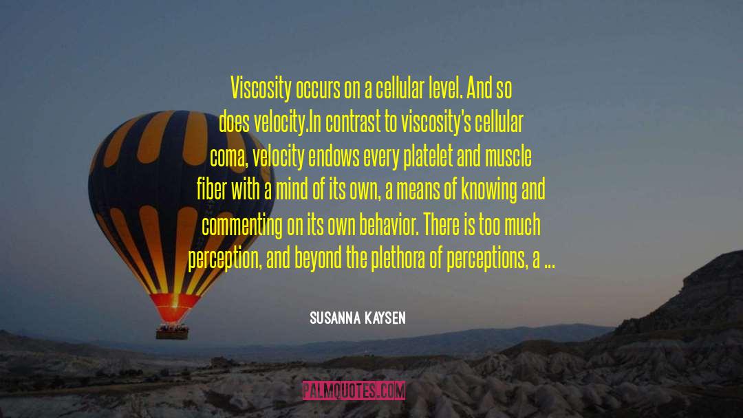 Commenting quotes by Susanna Kaysen