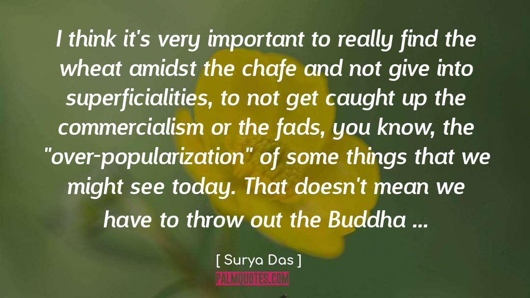 Commercialism quotes by Surya Das