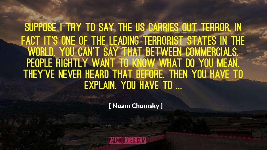 Commercials quotes by Noam Chomsky