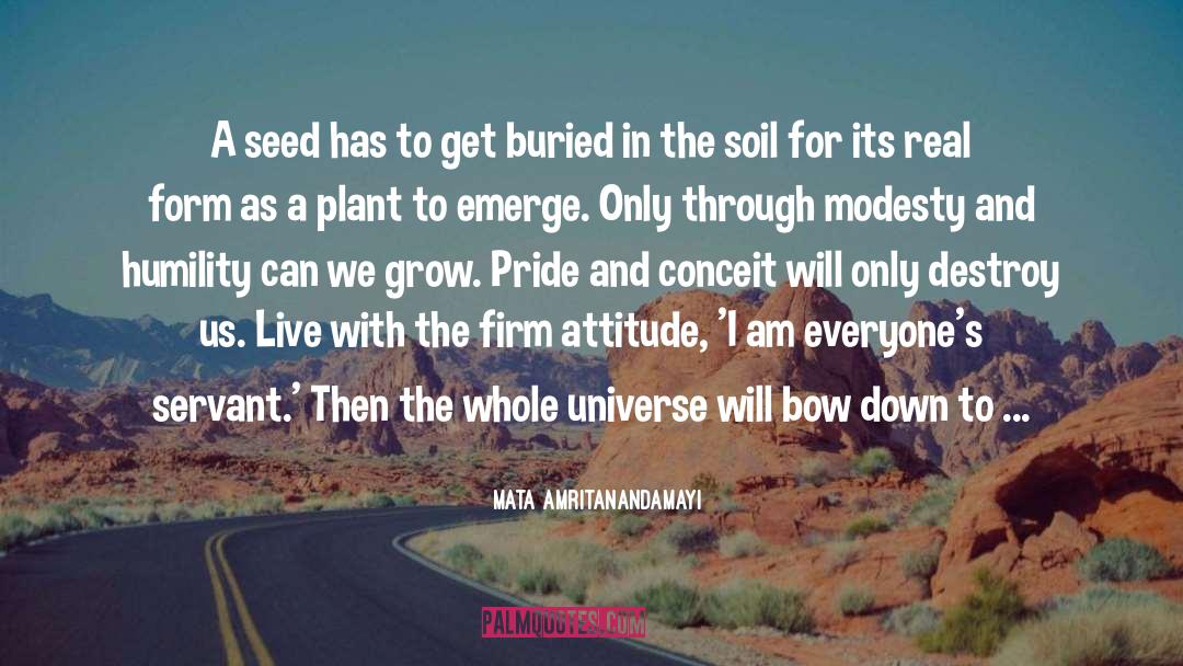 Commitment And Attitude quotes by Mata Amritanandamayi