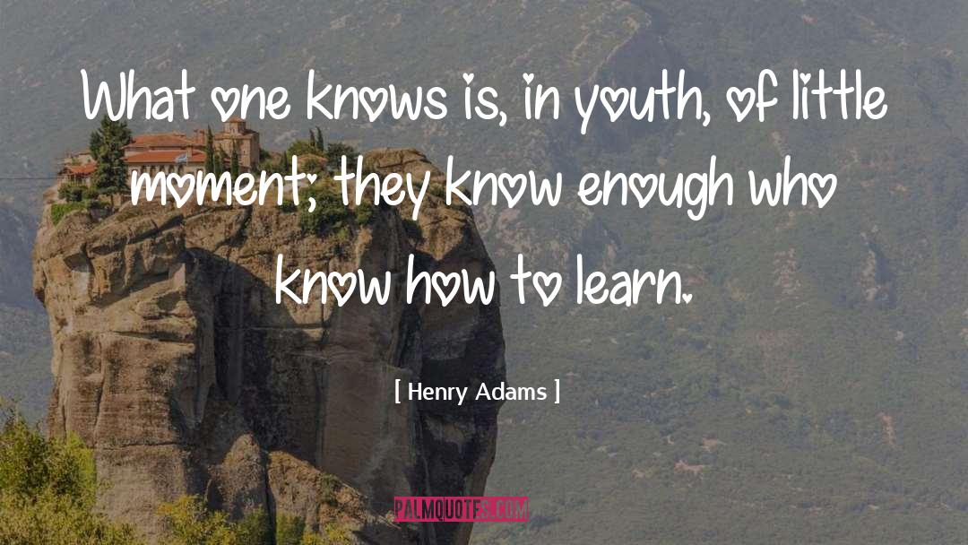 Commitment To Education quotes by Henry Adams