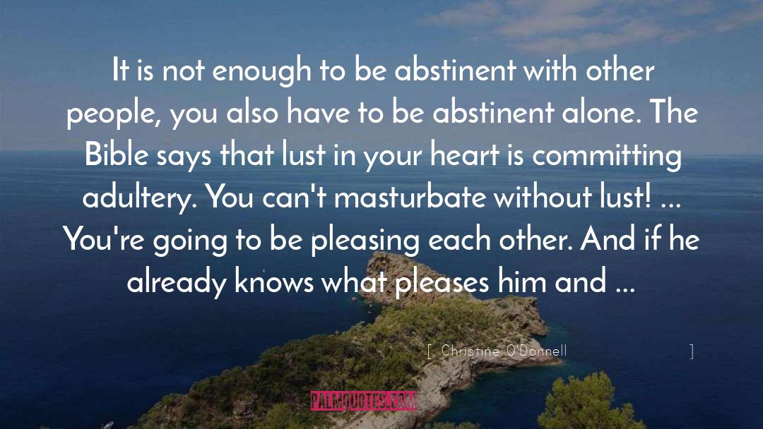 Committing Adultery quotes by Christine O'Donnell