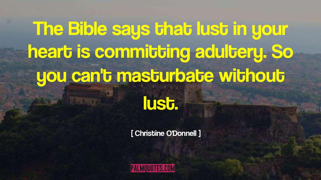 Committing Adultery quotes by Christine O'Donnell