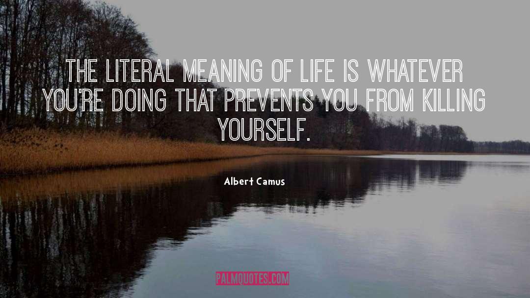 Committing Suicide quotes by Albert Camus