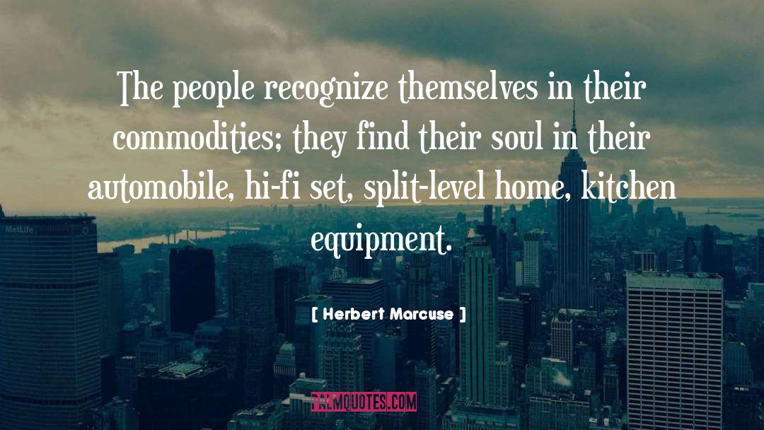 Commodities quotes by Herbert Marcuse