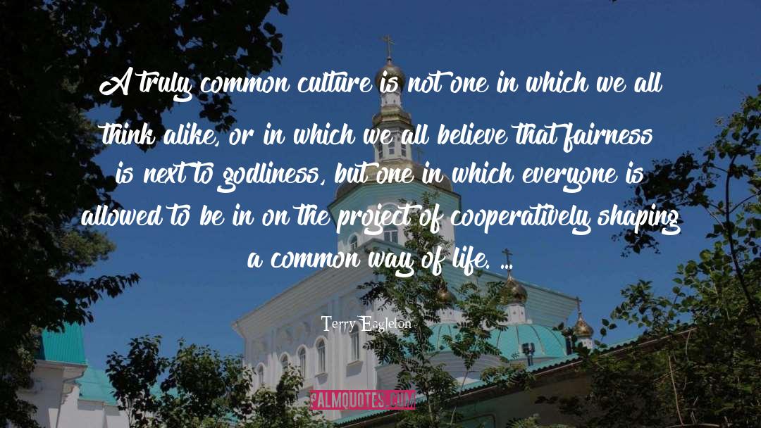 Common Culture quotes by Terry Eagleton