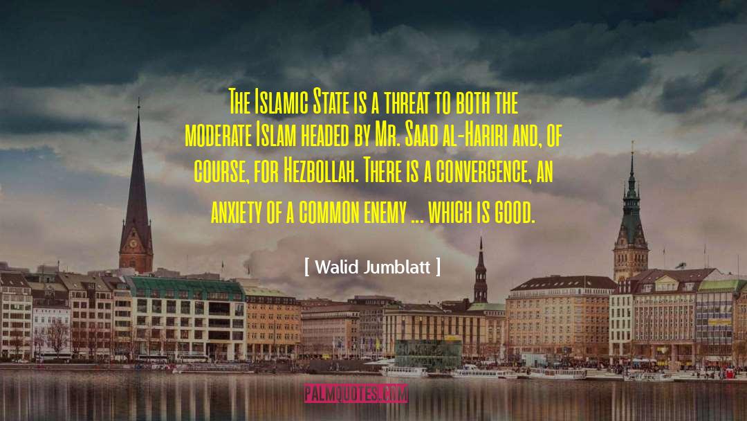 Common Enemy quotes by Walid Jumblatt