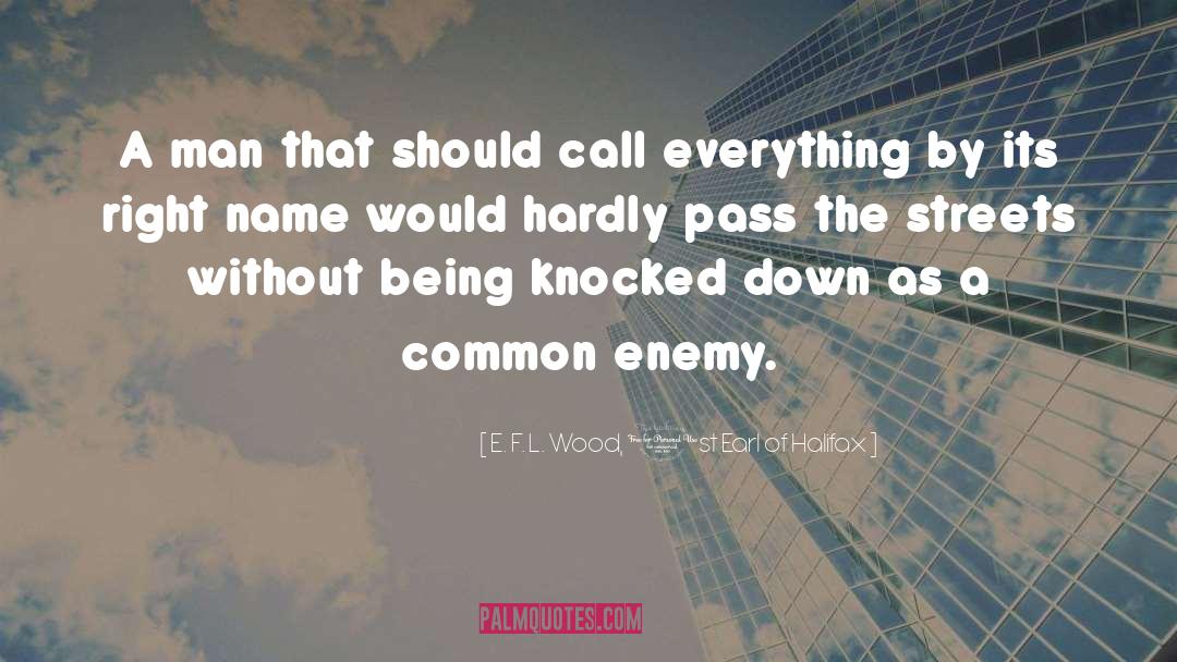 Common Enemy quotes by E. F. L. Wood, 1st Earl Of Halifax