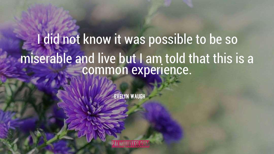 Common Experience quotes by Evelyn Waugh