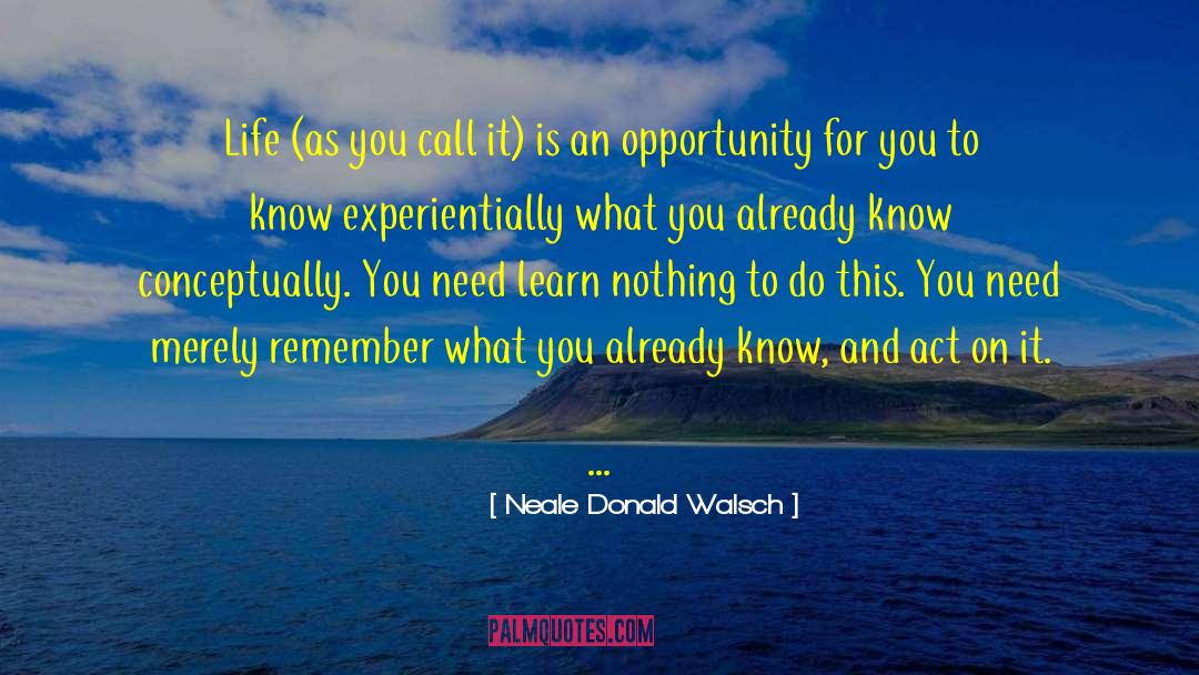 Common Experience quotes by Neale Donald Walsch