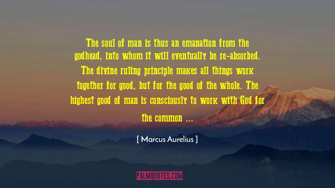 Common Good quotes by Marcus Aurelius