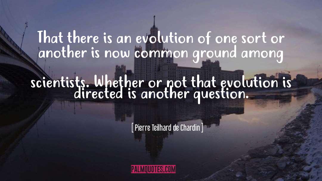 Common Ground quotes by Pierre Teilhard De Chardin