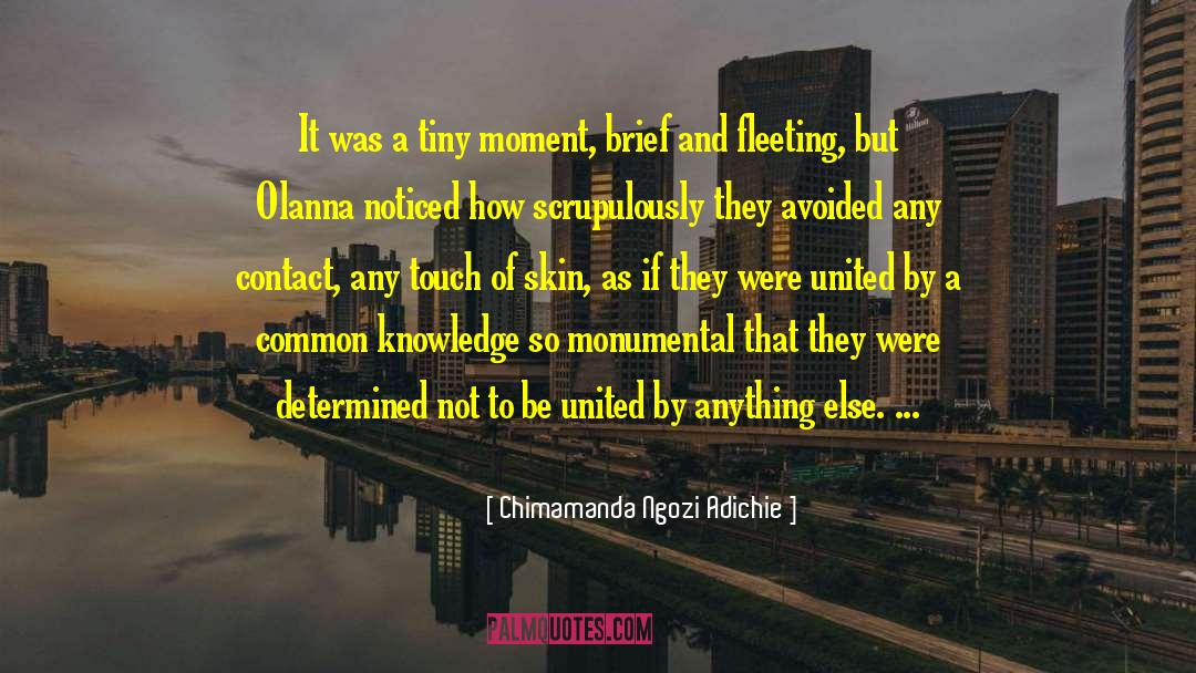 Common Knowledge quotes by Chimamanda Ngozi Adichie