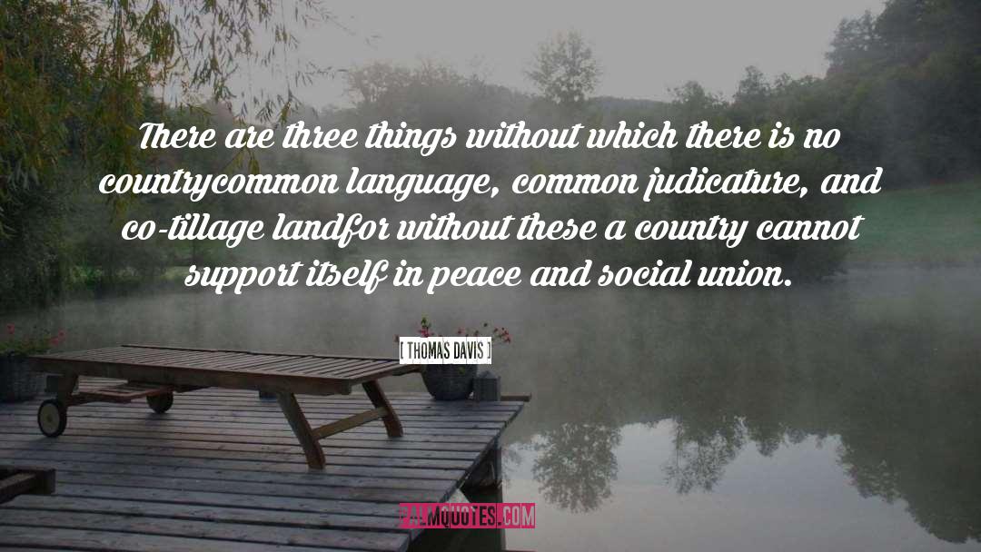Common Language quotes by Thomas Davis