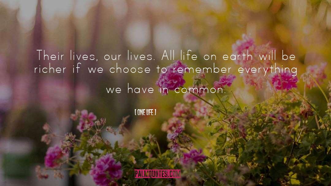Common Life quotes by One Life