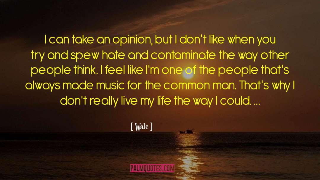 Common Man quotes by Wale