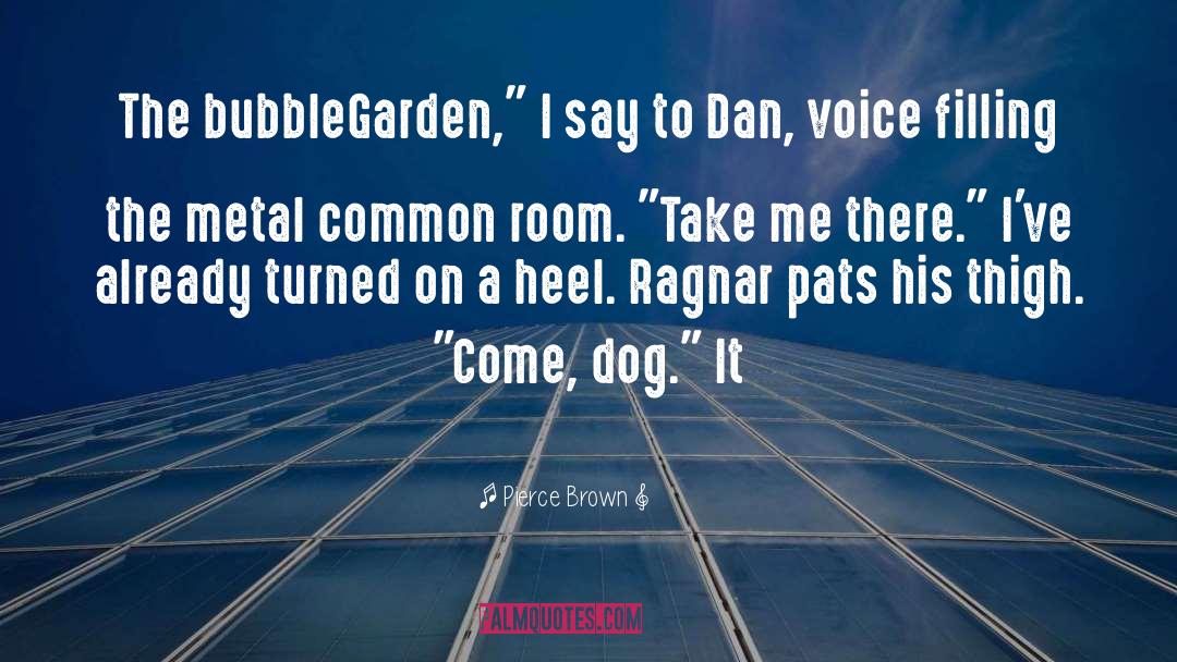 Common Room quotes by Pierce Brown