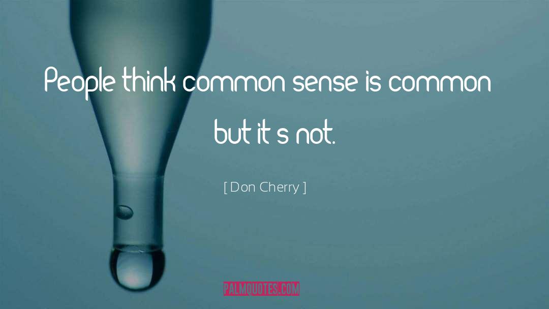 Common Sense quotes by Don Cherry