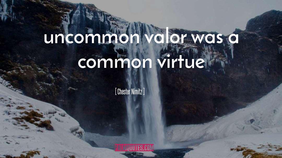 Common Valor quotes by Chester Nimitz