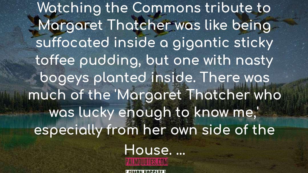 Commons quotes by Simon Hoggart