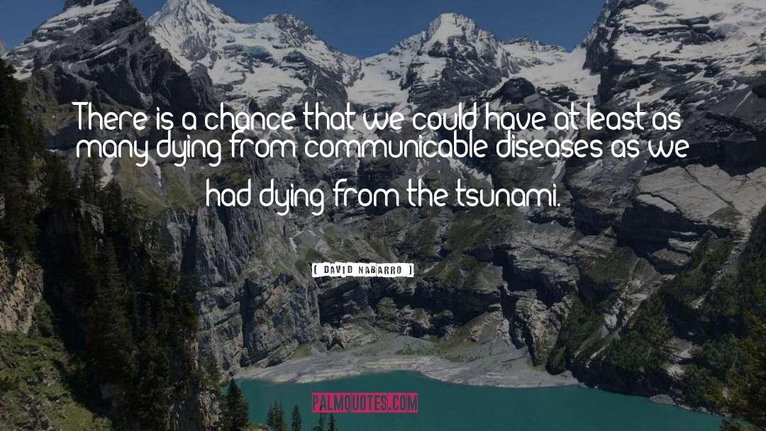 Communicable Diseases quotes by David Nabarro