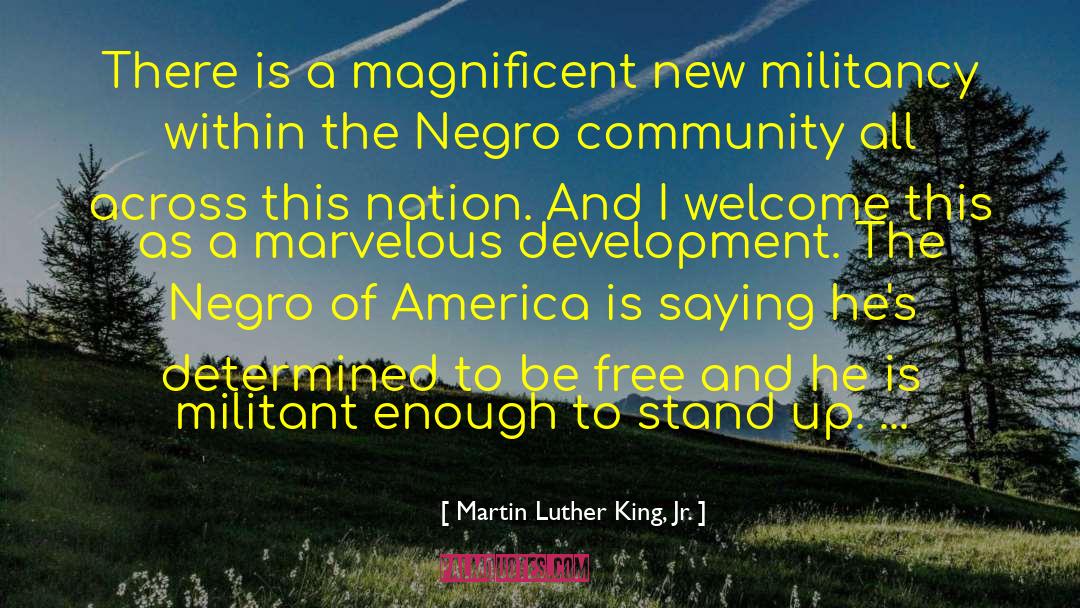 Community Development quotes by Martin Luther King, Jr.